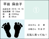 電脳プレートテンプレートサンプル2